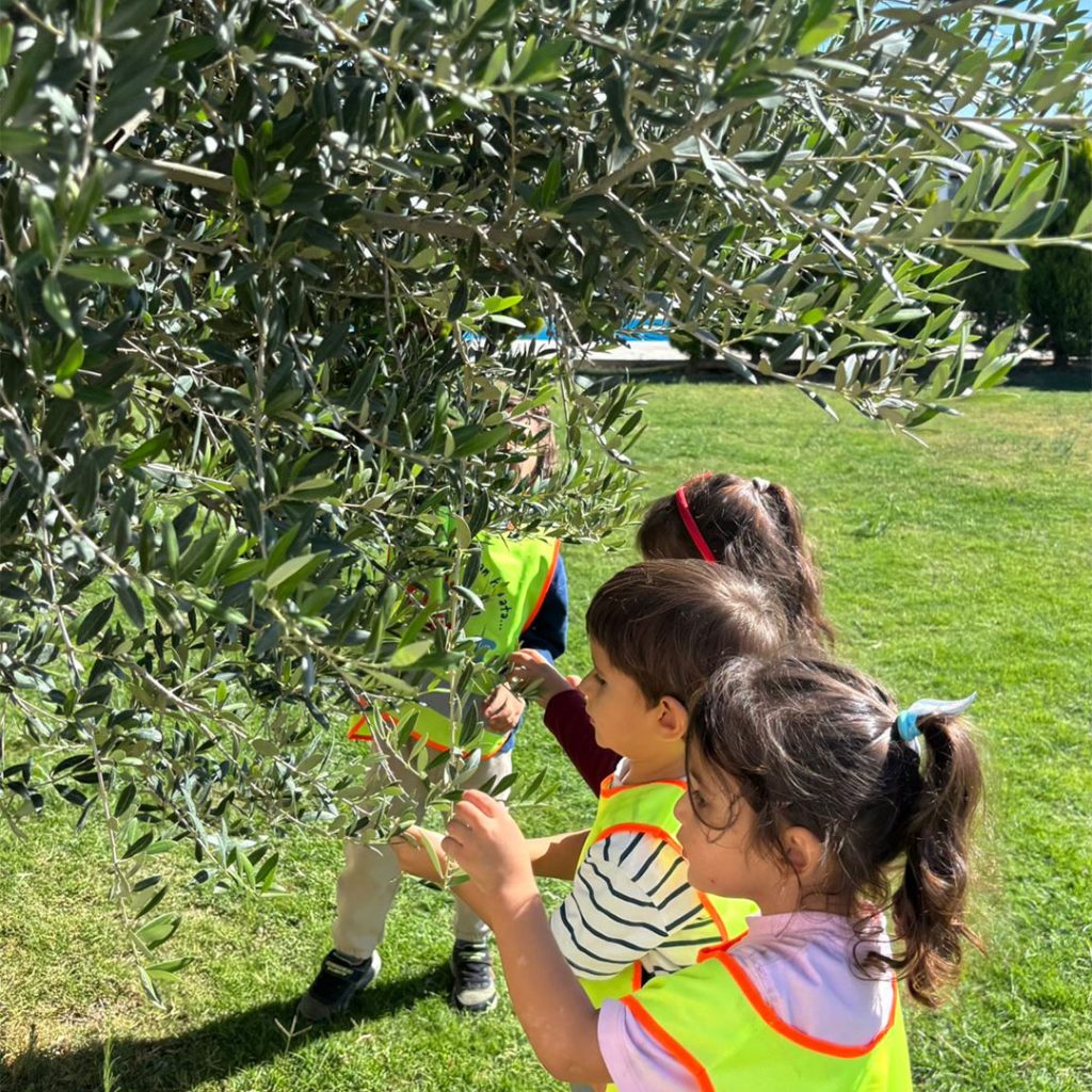 Hayat Anaokulu, Koruflora - Adana